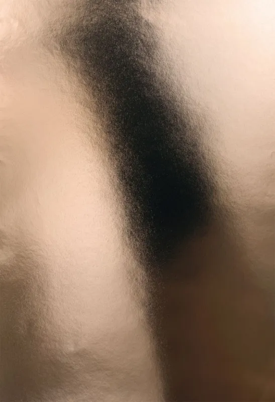 Обои для стен Architects Paper Chroma 1764 #1