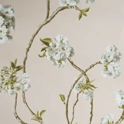 Обои для стен Nina Campbell Sylvana NCW4027-04