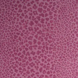 Обои для стен Nina Campbell Sylvana NCW4026-01