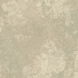 Обои для стен Osborne & Little Onyx CW6003-05