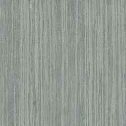 Обои для стен Osborne & Little Onyx CW6002-05