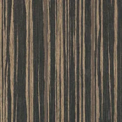 Обои для стен Osborne & Little Onyx CW6002-01