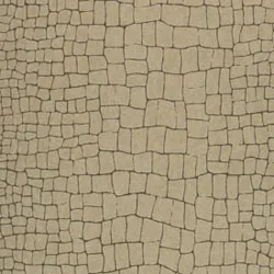 Обои для стен Osborne & Little Onyx CW6001-01