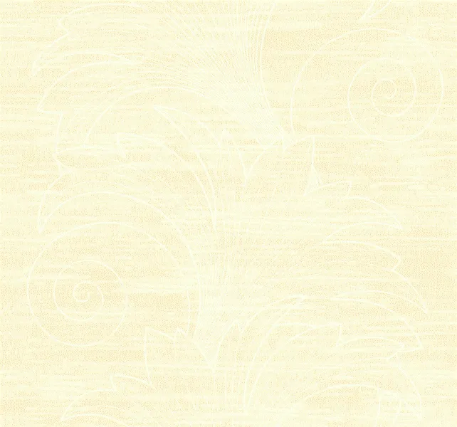 Обои для стен Collins & Company Envy bn50903