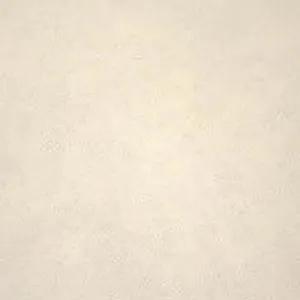 Обои для стен Newmor Tundra s6120