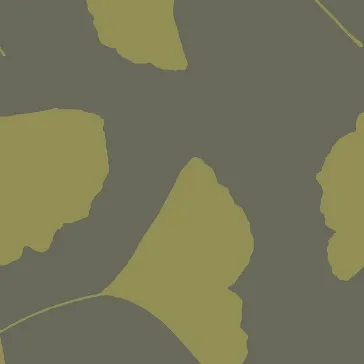 Обои для стен Antonina Vella Contempo GM1261