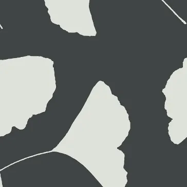 Обои для стен Antonina Vella Contempo GM1262