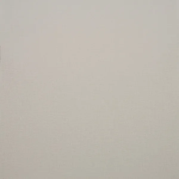 Обои для стен Clarke&Clarke Couture W0006-09