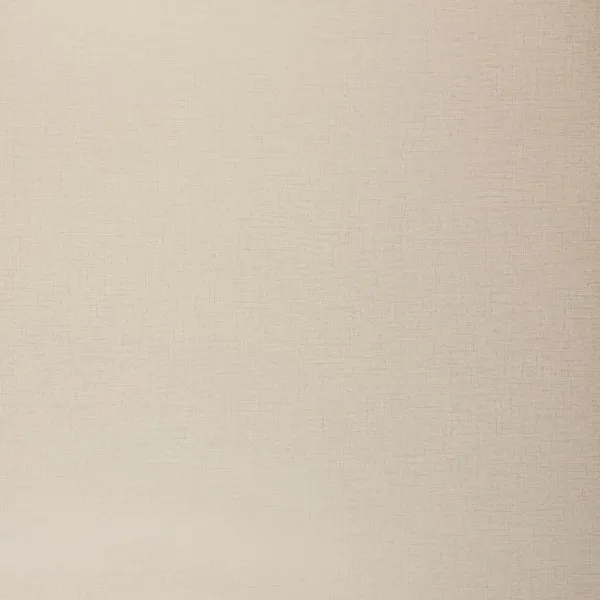 Обои для стен Clarke&Clarke Showstoppers W0006-23