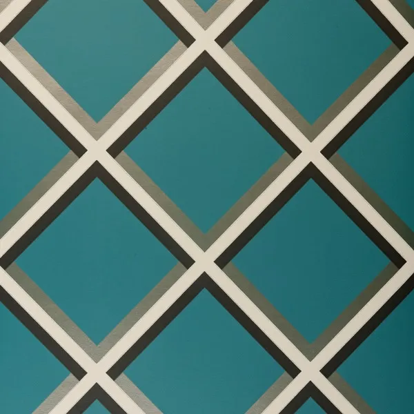 Обои для стен Clarke&Clarke Showstoppers W0018-06