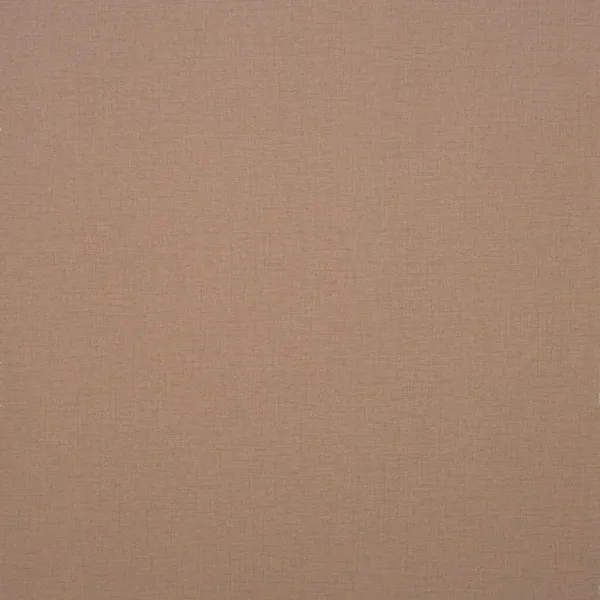 Обои для стен Clarke&Clarke Viva W0006-04