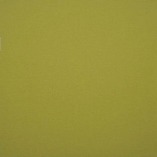 Обои для стен Clarke&Clarke Viva W0006-13