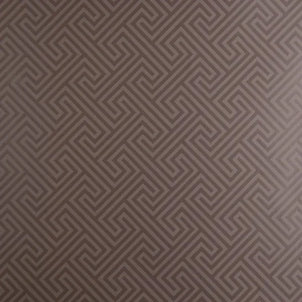 Обои для стен Clarke&Clarke Viva W0013-04