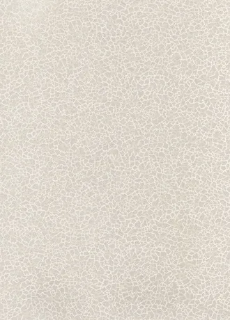 Обои для стен Baker Lifestyle Homes and Gardens II PW78017-01