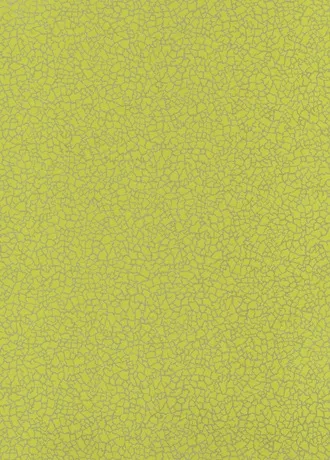 Обои для стен Baker Lifestyle Homes and Gardens II PW78017-08