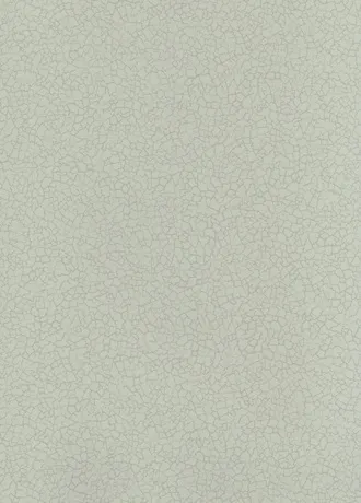 Обои для стен Baker Lifestyle Homes and Gardens II PW78017-09