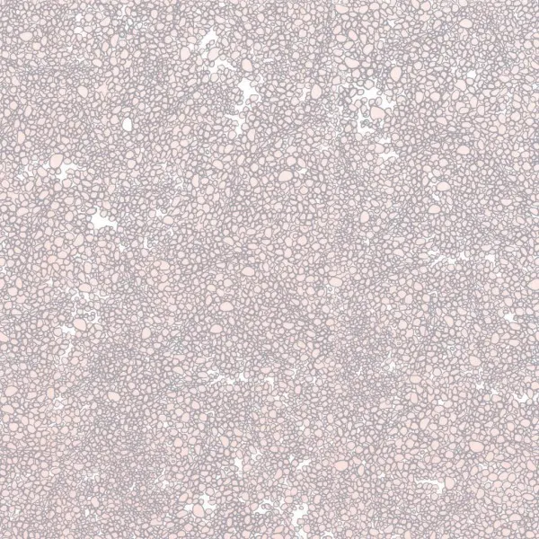 Обои для стен Tres Tintas Wall A Porter 2008