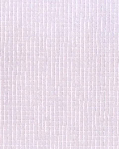 Обои для стен Designers Guild Castellani P595-02