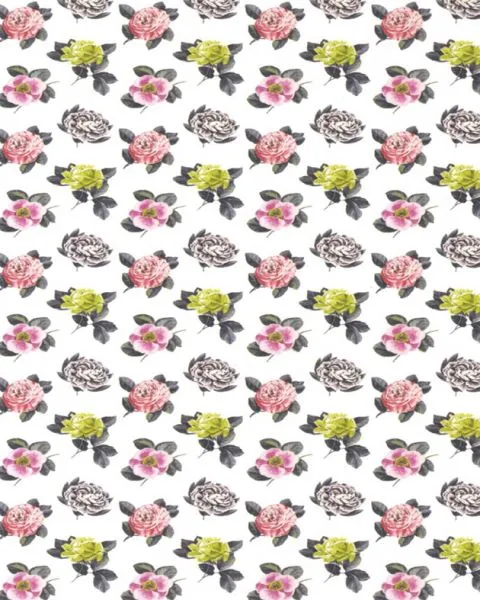 Обои для стен Designers Guild Castellani P601-01