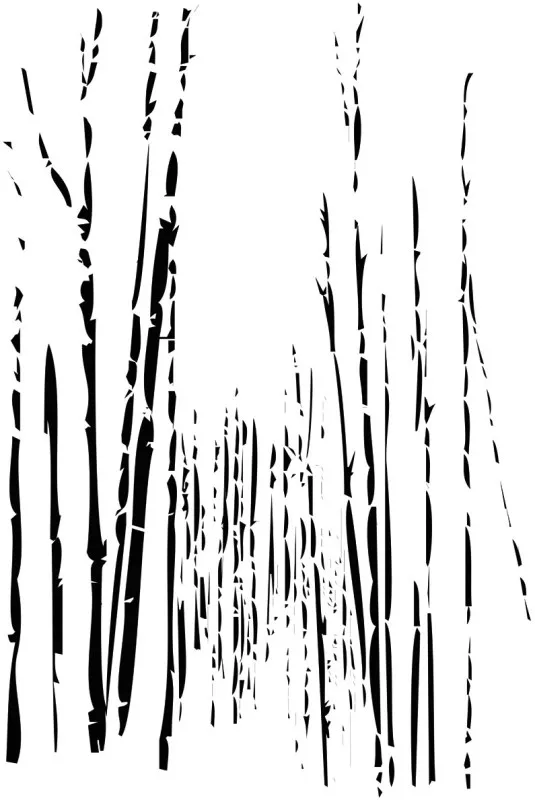 Обои для стен Wall&Deco Big Brand BAMBOO2X3