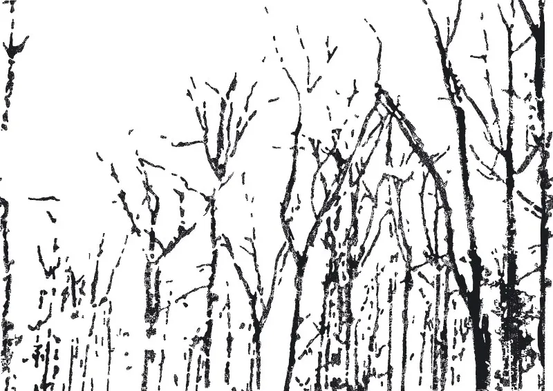 Обои для стен Wall&Deco Big Brand BBBF1101