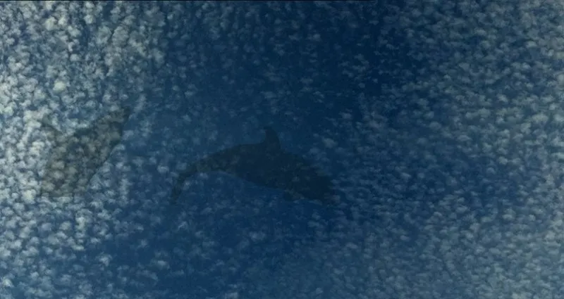 Обои для стен Wall&Deco Big Brand BBLA1201