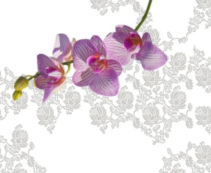 Обои для стен Wall&Deco Gio Pagani GPW0904col.1