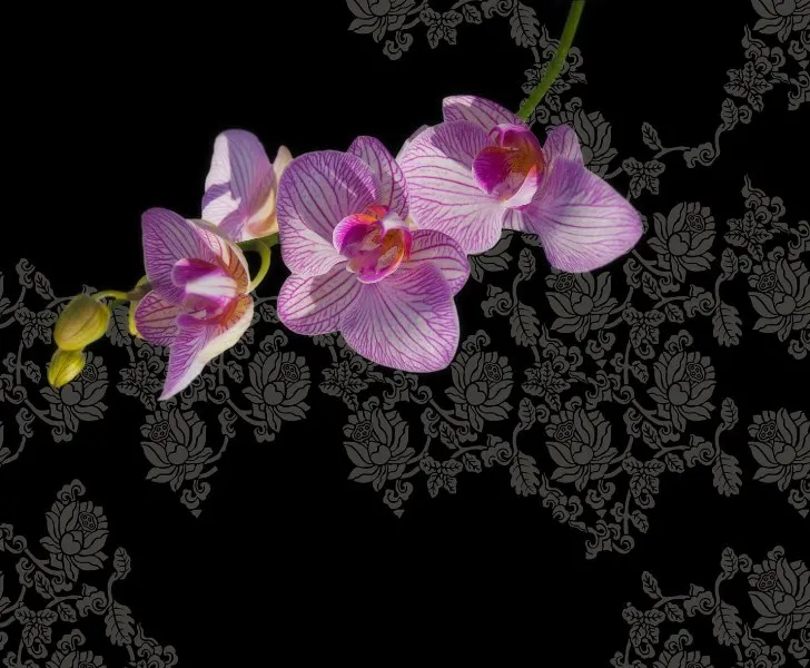 Обои для стен Wall&Deco Gio Pagani GPW0904col.2