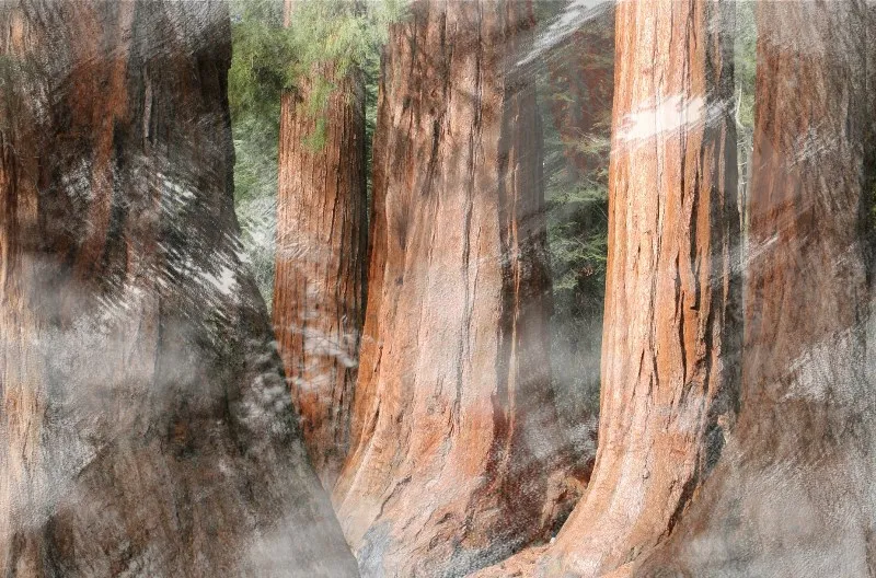 Обои для стен Wall&Deco Gio Pagani GPW1104