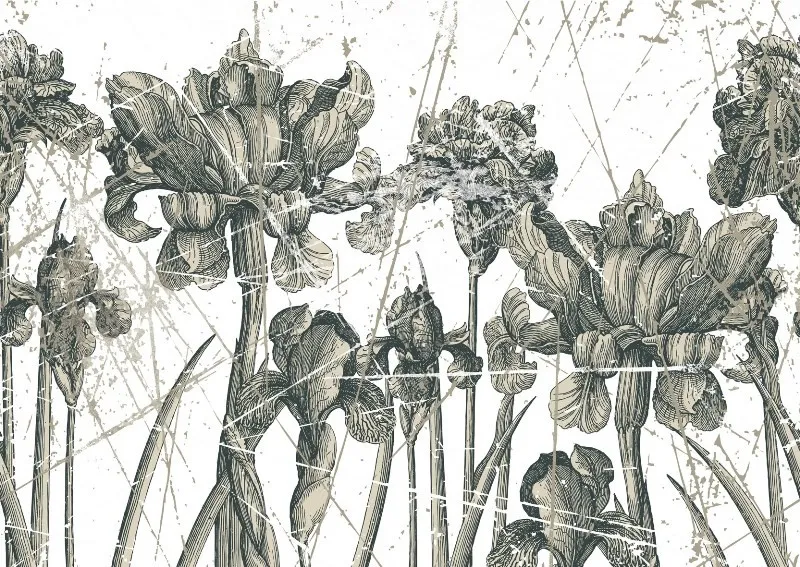 Обои для стен Wall&Deco Life WDHE1101