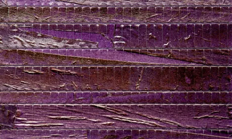 Обои для стен Arte Boracay 90023