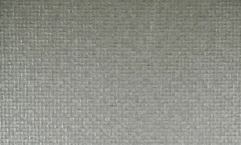 Обои для стен Arte Monsoon 75104