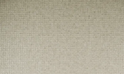 Обои для стен Arte Monsoon 75108