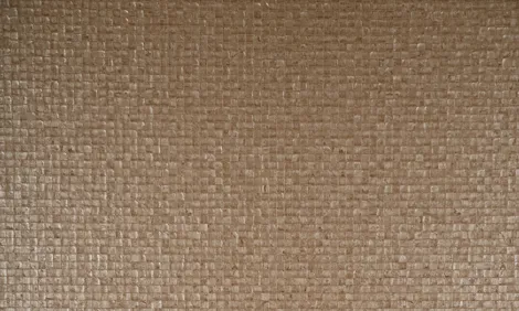 Обои для стен Arte Monsoon 75109