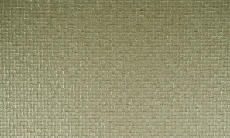 Обои для стен Arte Monsoon 75112 #2