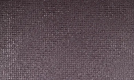 Обои для стен Arte Monsoon 75113 #2