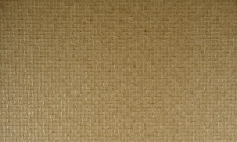 Обои для стен Arte Monsoon 75117 #2