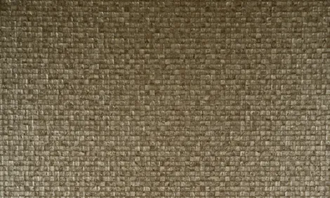 Обои для стен Arte Monsoon 75118