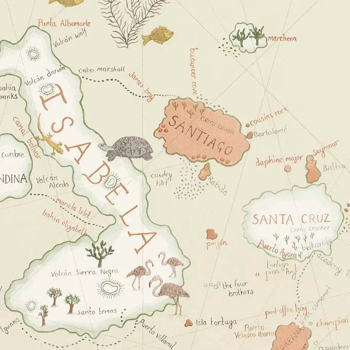 Обои для стен Sanderson Voyage of discovery 213362