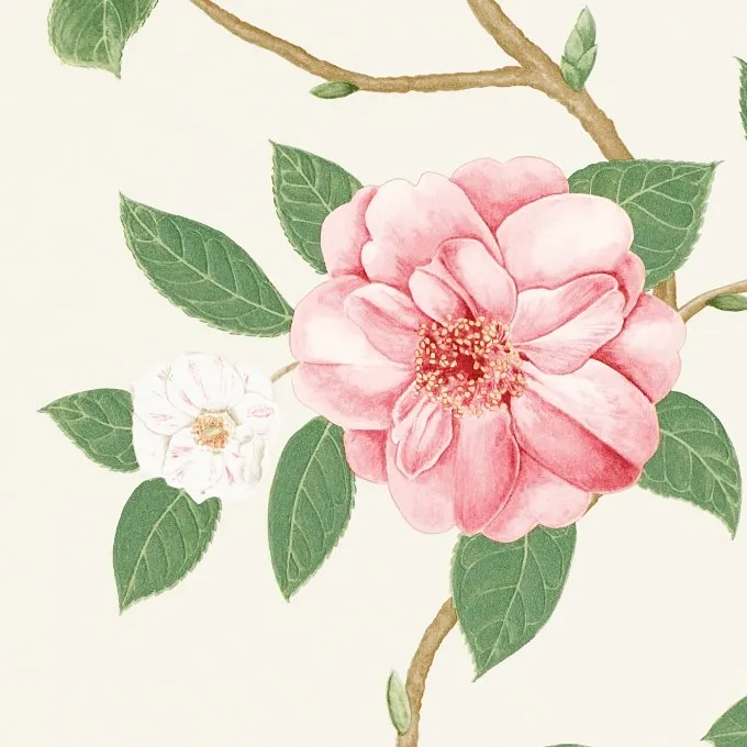 Обои для стен Sanderson Voyage of discovery 213374