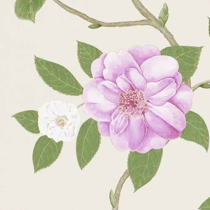 Обои для стен Sanderson Voyage of discovery 213375