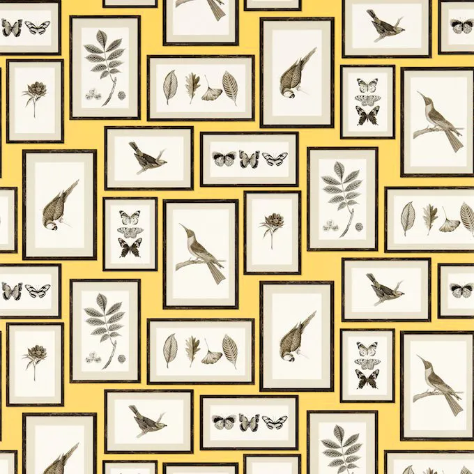 Обои для стен Sanderson Voyage of discovery 213396