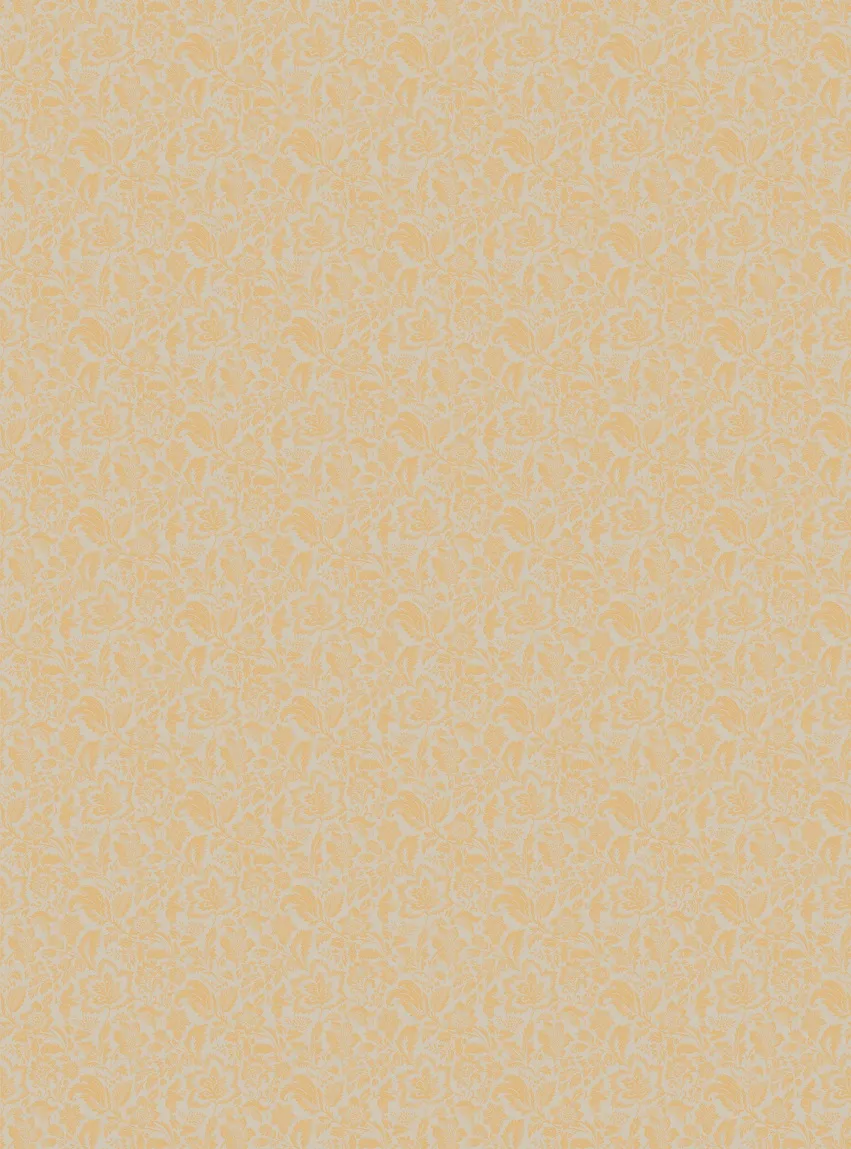 Обои для стен Manifattura Di Tizzana Collezione 01-03 1223