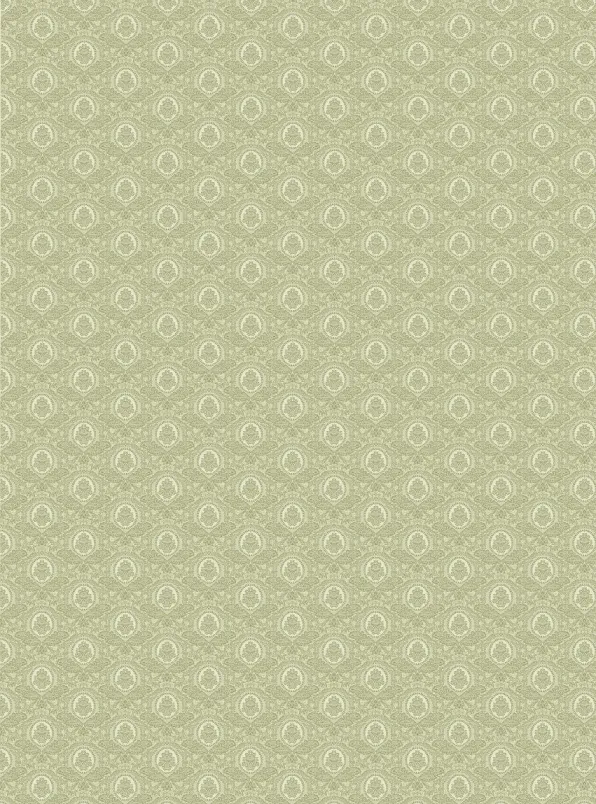 Обои для стен Manifattura Di Tizzana Collezione 02-08 A-609