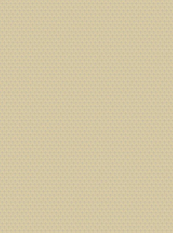 Обои для стен Manifattura Di Tizzana Collezione 10 AX-55