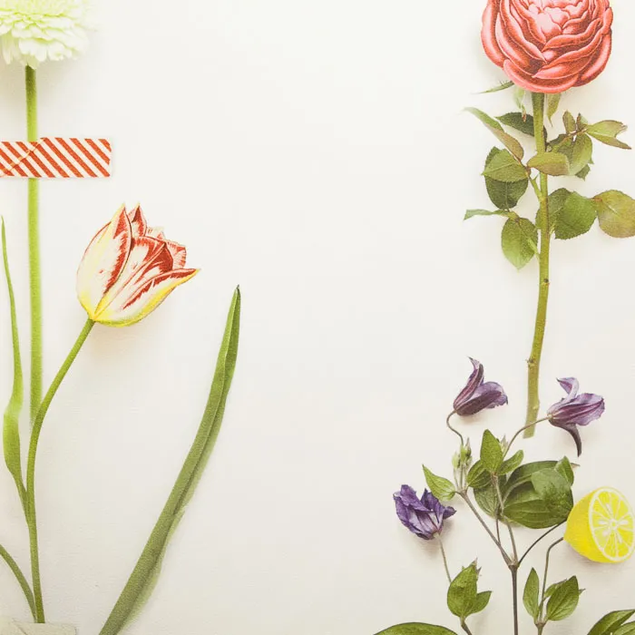 Обои для стен Eijffinger Pip III 341087