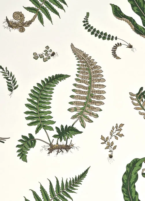 Обои для стен G.P. and J.Baker Larkhill BW450441