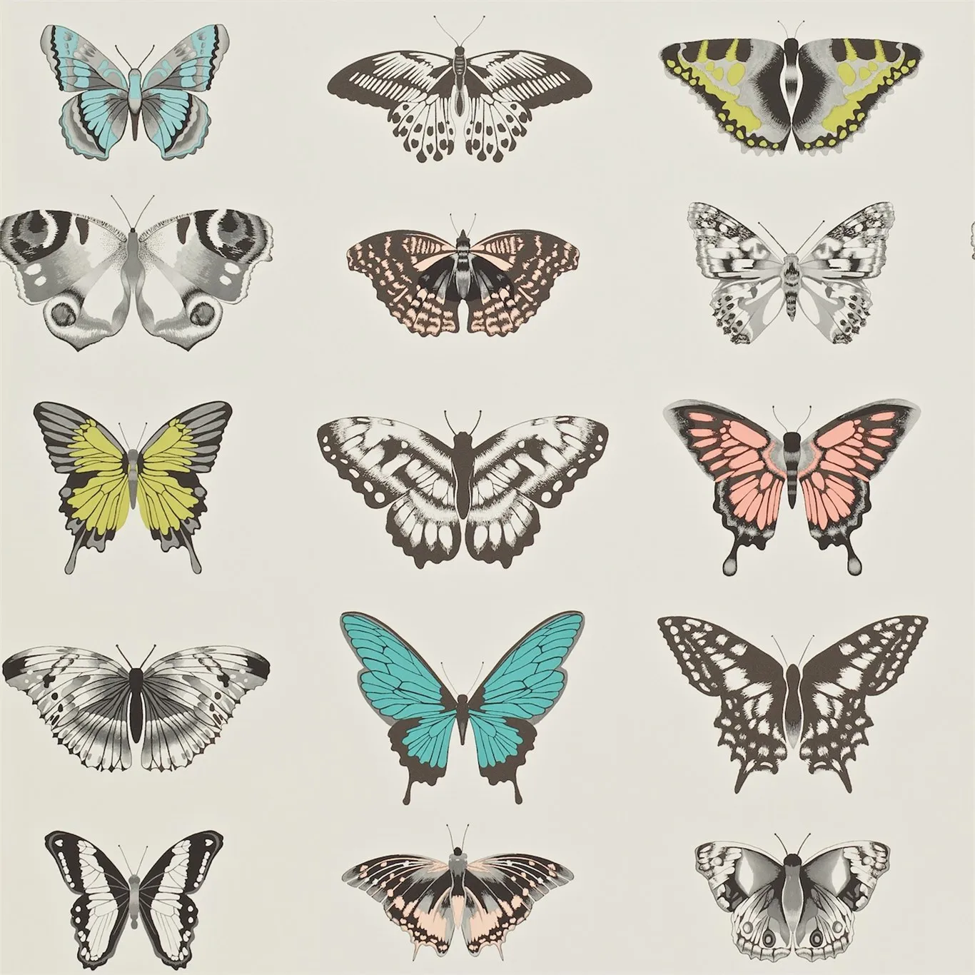 Обои для стен Harlequin Amazilia 111077