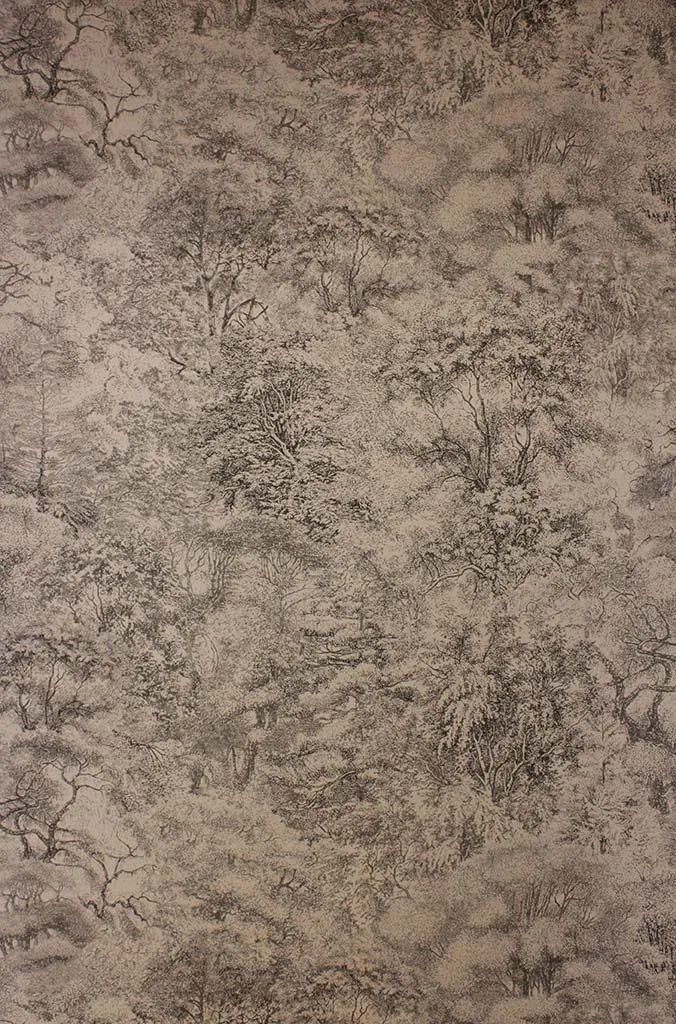 Обои для стен Osborne & Little Pasha W6757-05