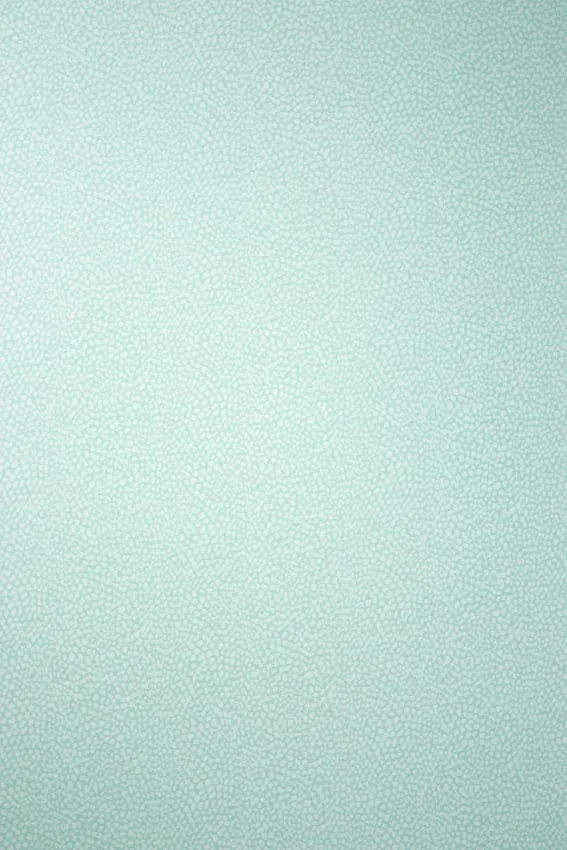 Обои для стен Osborne & Little Persian Garden W6491-06